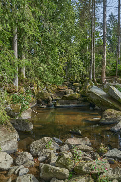 Gemeinde Waldkirchen Landkreis Freyung-Grafenau Saußbachklamm (Dirschl Johann) Deutschland FRG